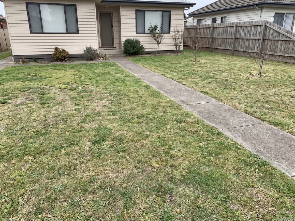 AI front yard design before and after: a plain front yard photo redone with a new entry and planting.