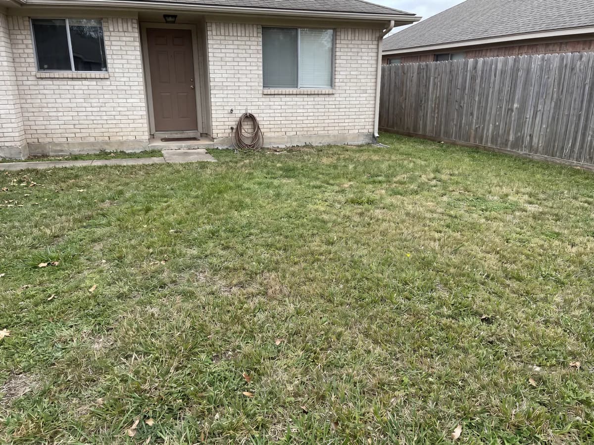 A real yard photo before its landscape redesign