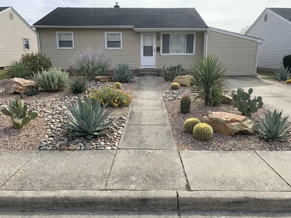 Desert