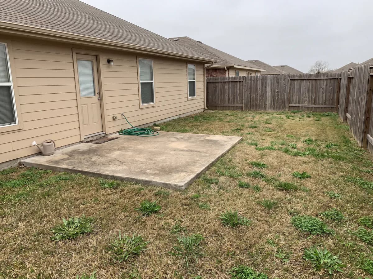 A real yard photo before its landscape redesign